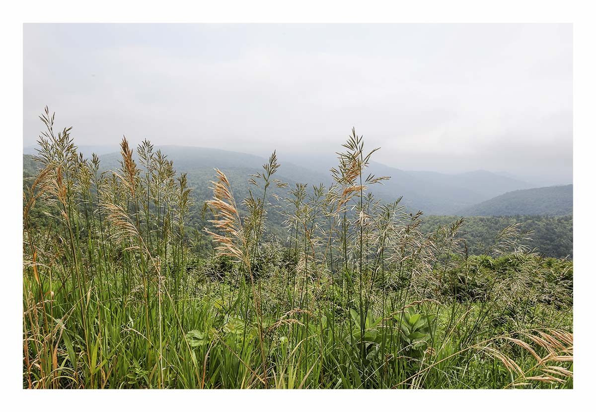 Shenandoah NP